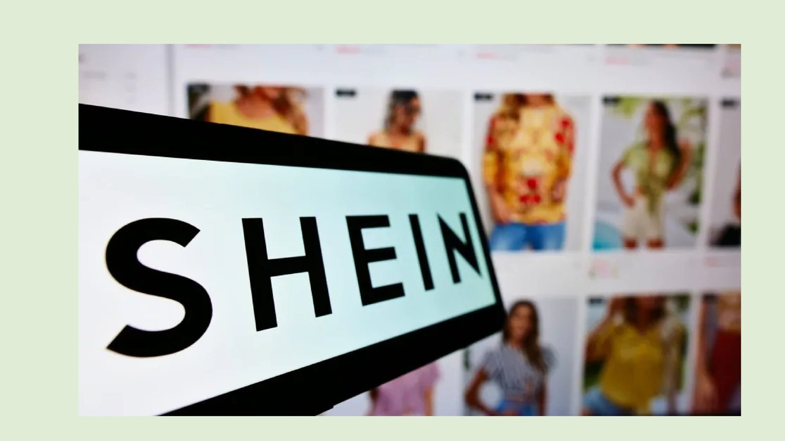 Copy of Develop an Audience Profile and Buying Persona-02