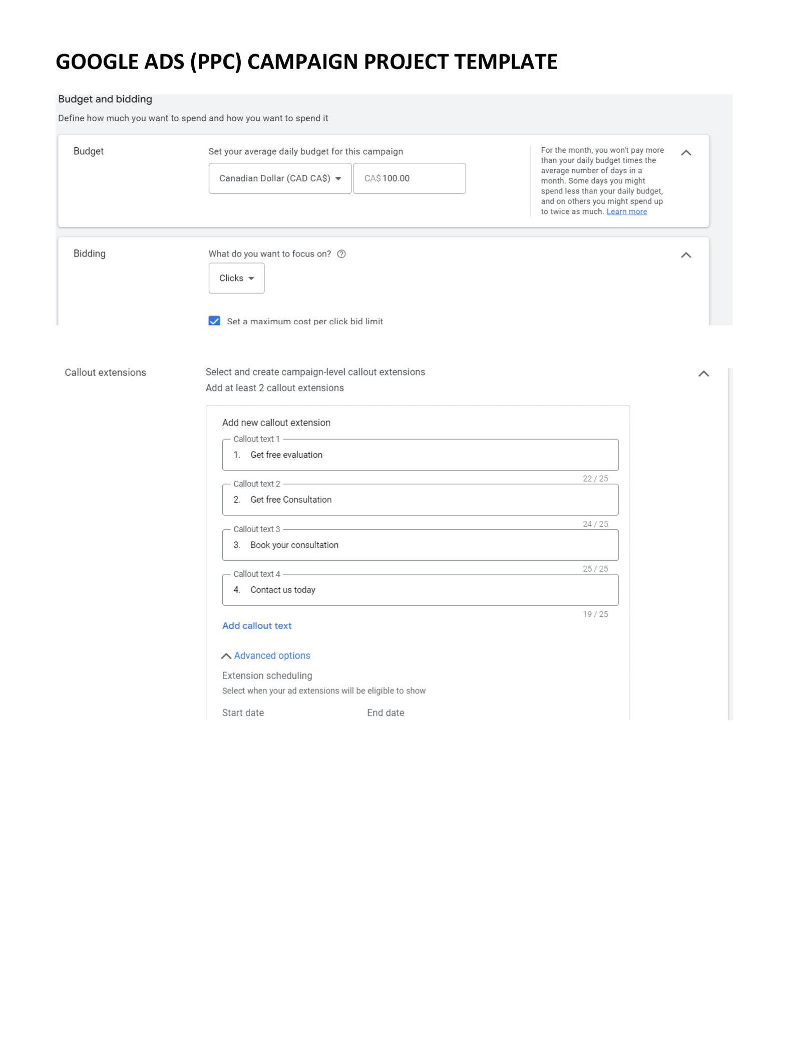 PPC CAMPAIGN PROJECT Template -05